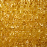 Rapshonig kristallisiert in der Wabe